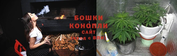прущая мука Болотное