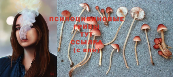 ALPHA PVP Бронницы