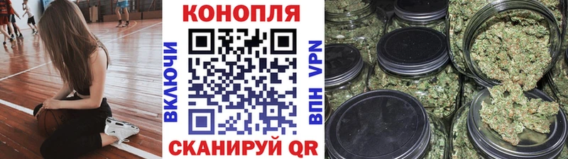 продажа наркотиков  Высоцк  Бошки марихуана марихуана 